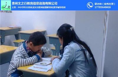 貴州文之行教育信息咨詢 專業(yè)引領(lǐng)，助力教育夢(mèng)想